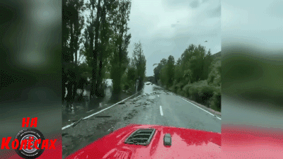 Необычный участник движения