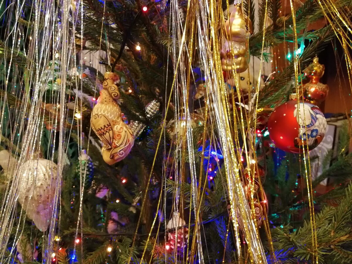 фото Света Давыдова