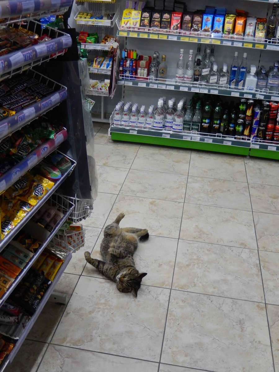 Ва-аще отпадный магазин!!!