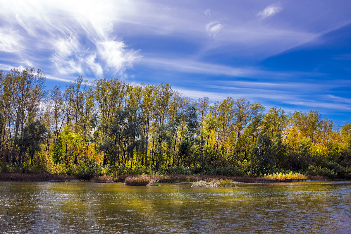 Река искитим. Река Бердь Искитим. Река Бердь Искитим фото. Река Бердь осенью. Реки Искитимского района Новосибирской области.