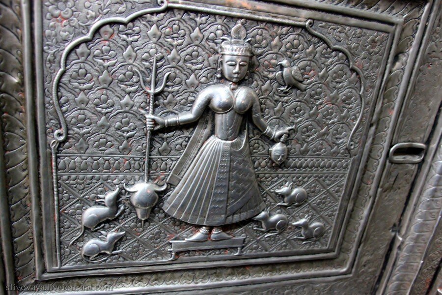 Фото взято из открытых источников