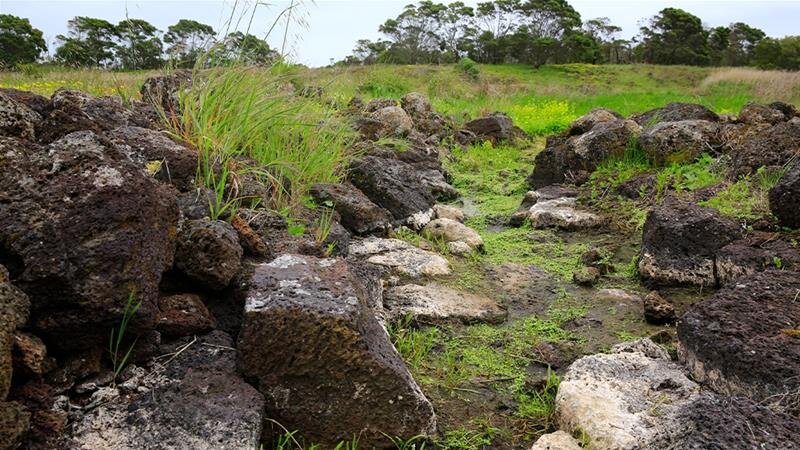 Сайт.https://www.aljazeera.com/news/2019/10/blood-water-australia-budj-bim-global-recognition-191027235046739.html