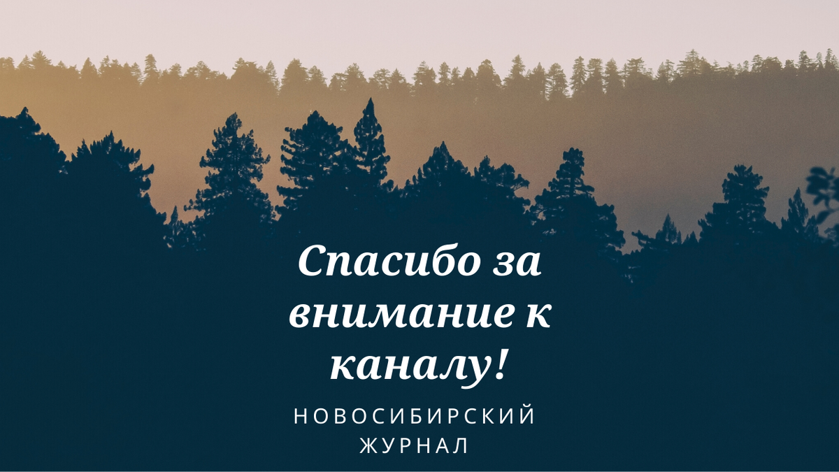 Почему найти работу на сайтах с вакансиями почти невозможно. Нас просто  обманывают | Новосибирский Журнал | Дзен