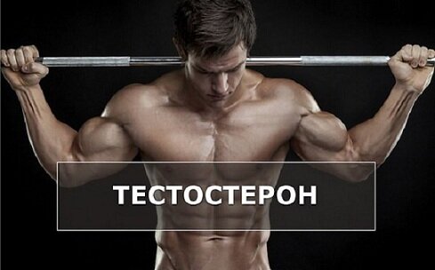 Фото взято на просторах интернета.