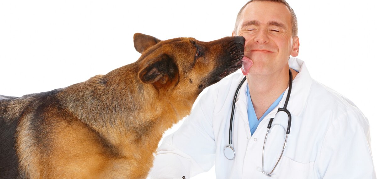 Фото из свободных источников. https://okaygorod.com/khimki/organizations#!cat_id=188