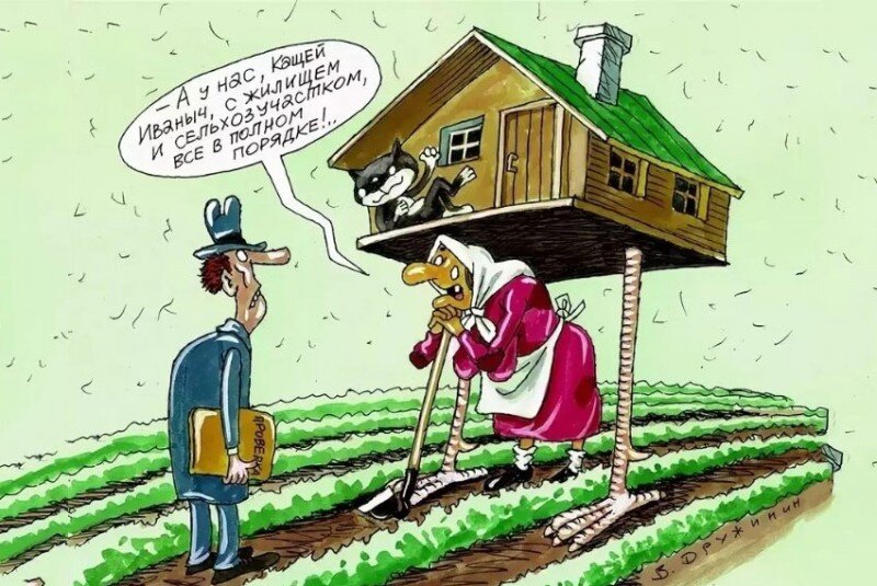 Многие СНТ пытаются обустроиться там, где им не рады... Фото из коллекции яндекс-картинки.