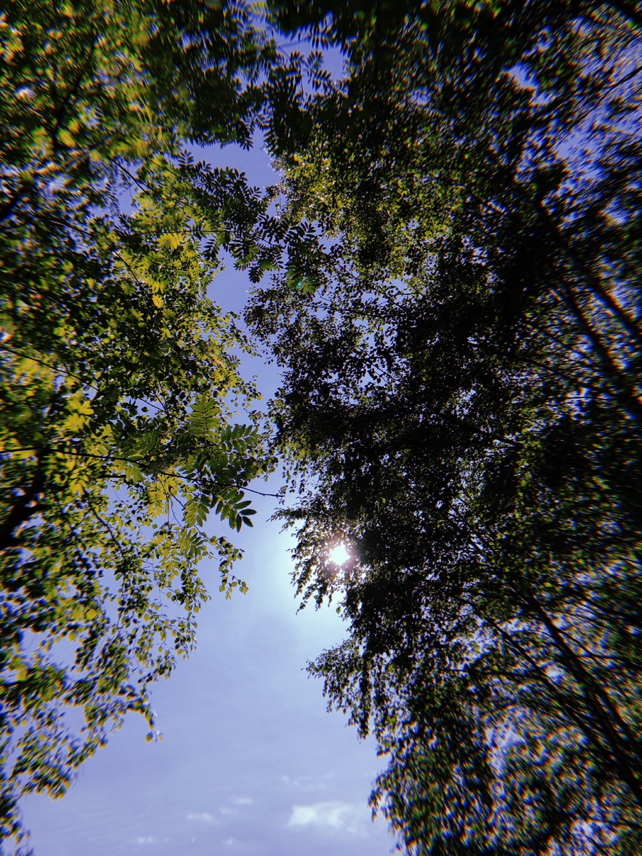 «Не раз за свою жизнь ты убедишься, что книга- лучший друг человека». Луиджи Сеттембрини