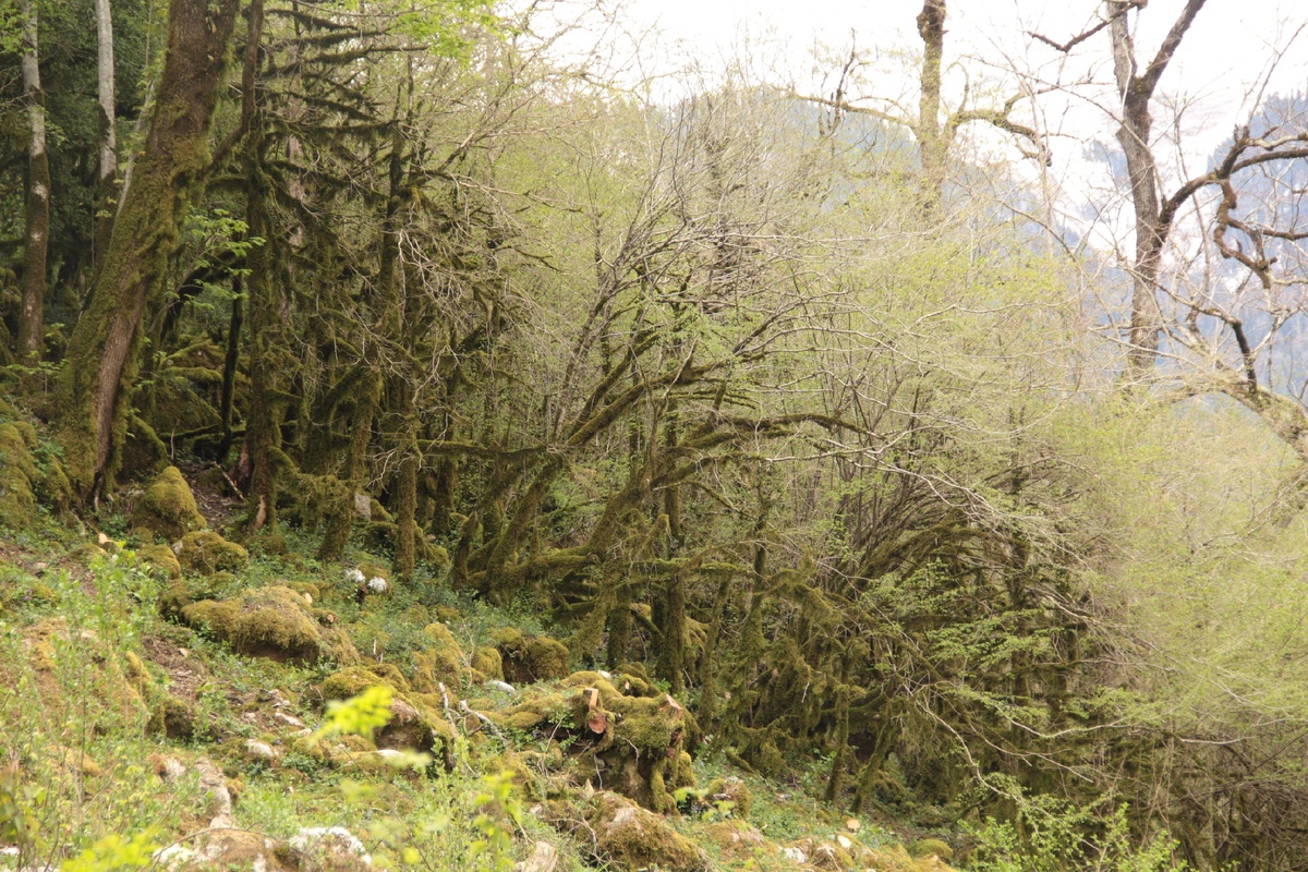 Моя фотография из апрельского города Сочи 