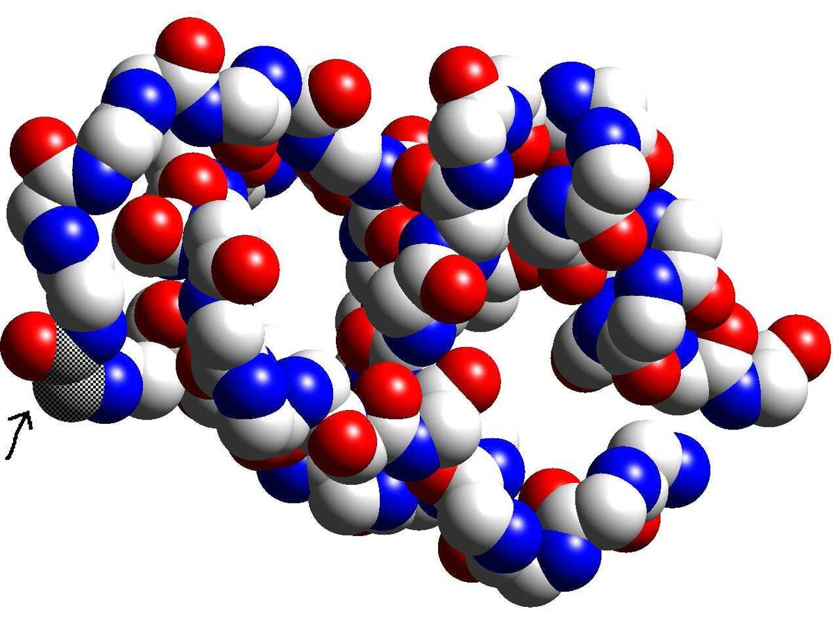 Белки высокомолекулярные соединения. Молекула белка биология формула. Белок молекула формула. Белок макромолекула. Белки сложные высокомолекулярные соединения.
