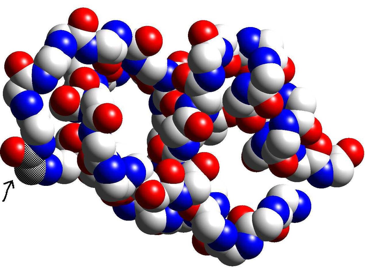 Оболочка молекулы. Молекула белка биология формула. Белки протеины молекула. Молекула белка химическая формула. Белки молекула химическое строение.