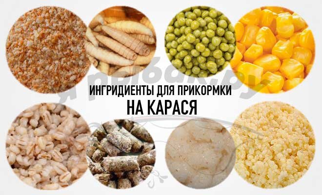 Лучшая прикормка для плотвы: самодельные рецепты и покупные смеси