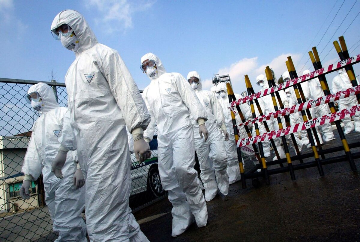 Фото из открытых источников