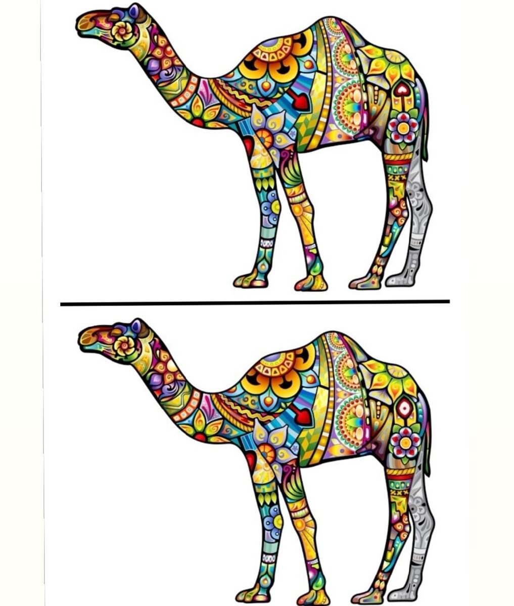 Изображение из моего инстаграма