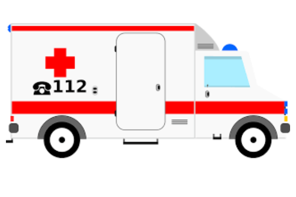 Скорая, конечно, была другого вида, но вот фотоаппарата с собой не было. Изображение с сайта pixabay.com