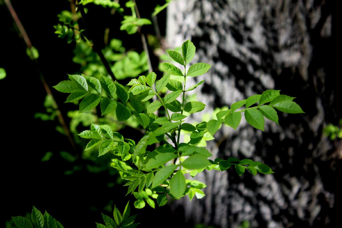 Фото из личного архива