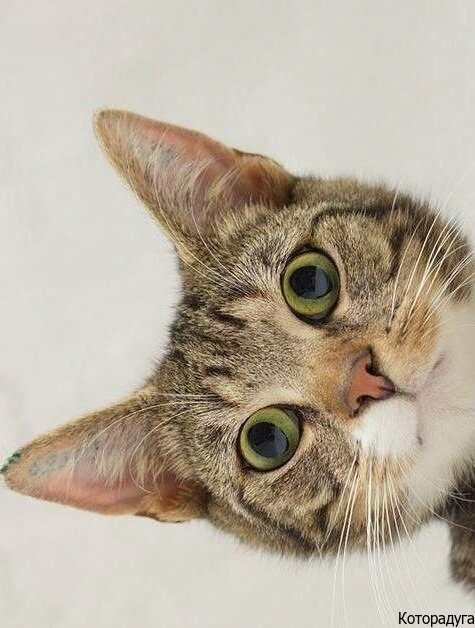 Источник: vk.com