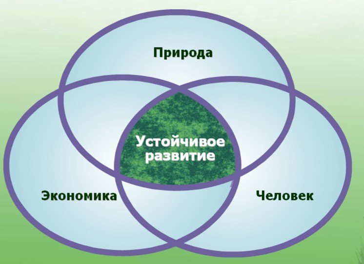 Социальная естественная система. Устойчивое развитие. Концепция устойчивого развития. Понятие устойчивого развития. Теория устойчивого развития.