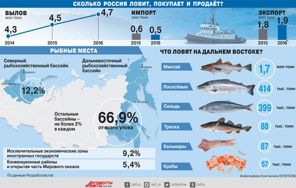 рыболовство в россии районы, районы рыбной промышленности, рыбная промышленность россии, экспорт рыбы