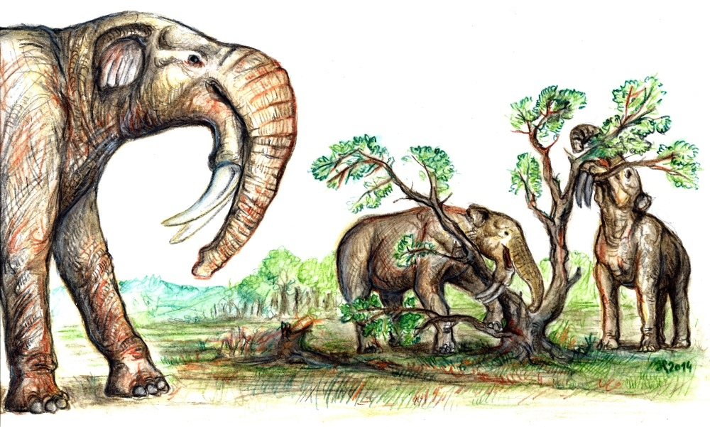 Мастодонт 2. Динотерий вымершие хоботные. Предки Мамонтов Дейнотерий. Deinotherium gigantissimum. Слон Дейнотерий.