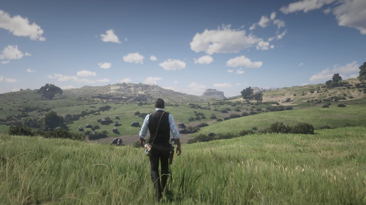 Стадо бизонов. 