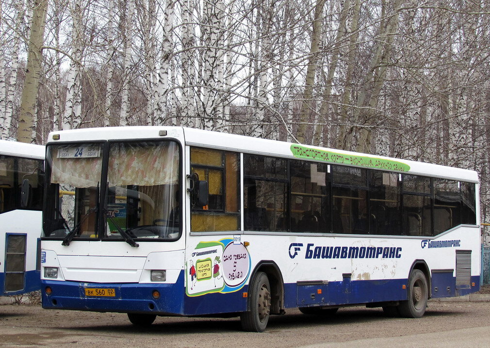 Автор фото: Джесси