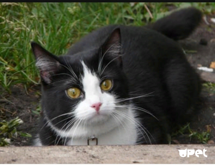 Картинка с бесплатных ресурсов интернета.