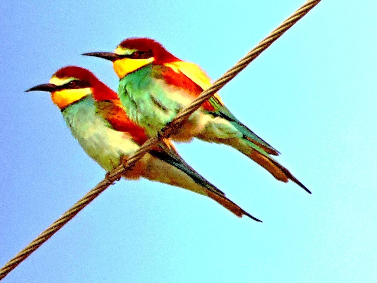 .фото  автора