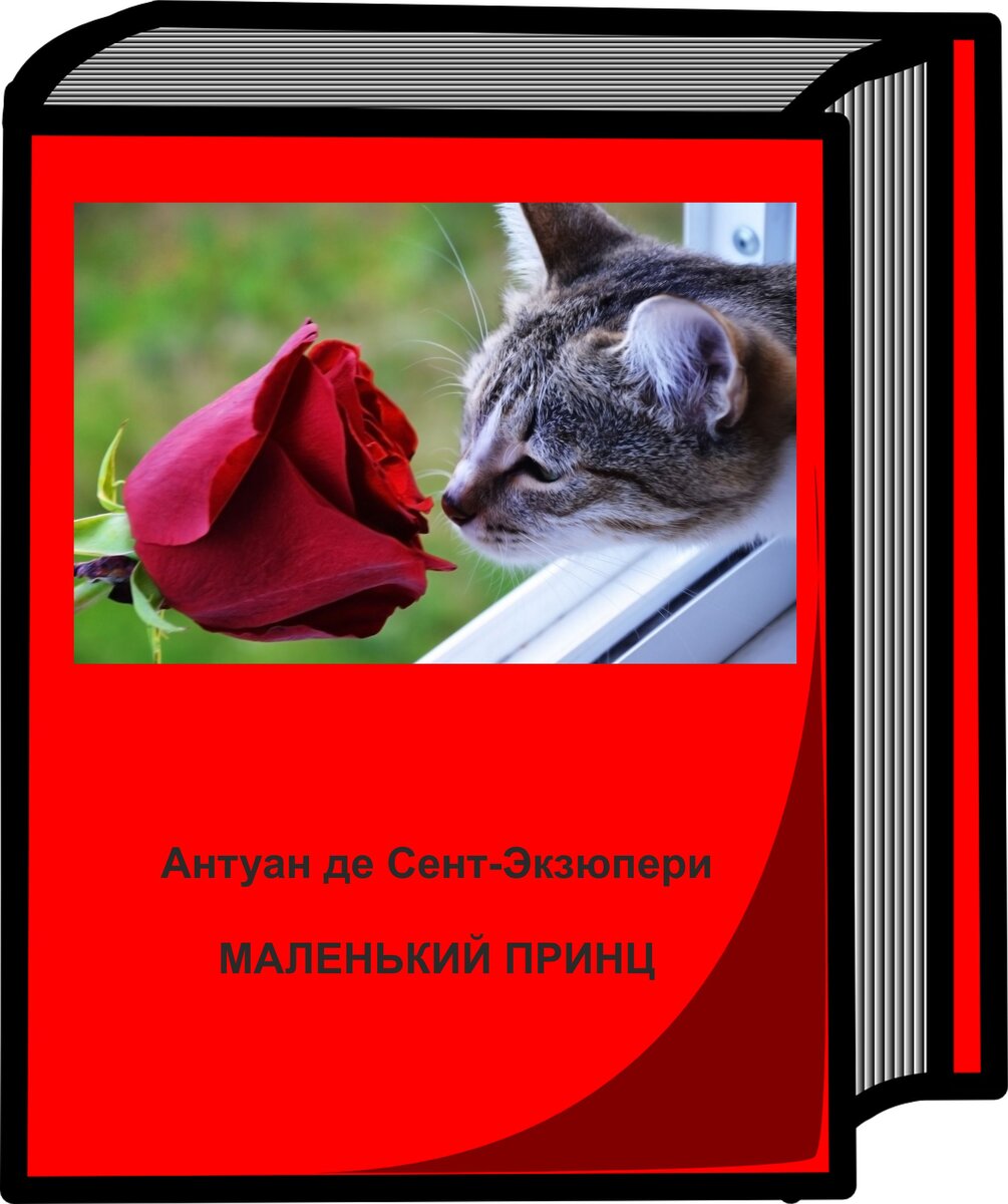 А ведь то, чего они ищут, можно найти в одной-единственной розе (с)