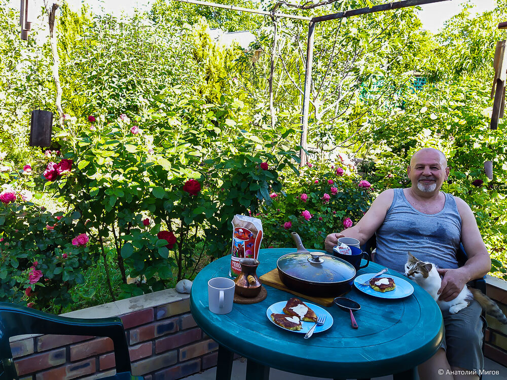 Жара в Крыму, цены на рынке и черевишня в нашем саду