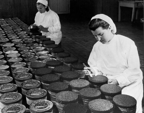 1947. Банки с икрой с Кировского рыбного хозяйства в Азербайджане готовы к экспорту.