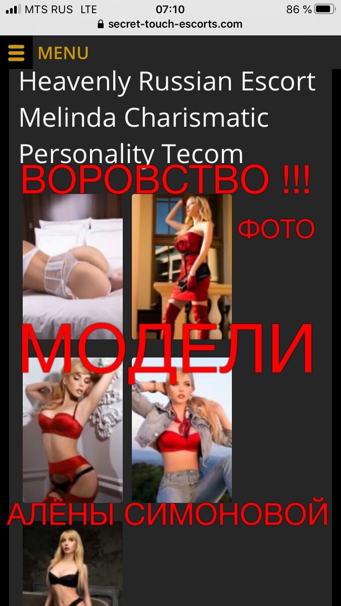 воровство фото модели 