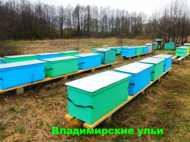 Одна из моих пасек, ранняя весна.