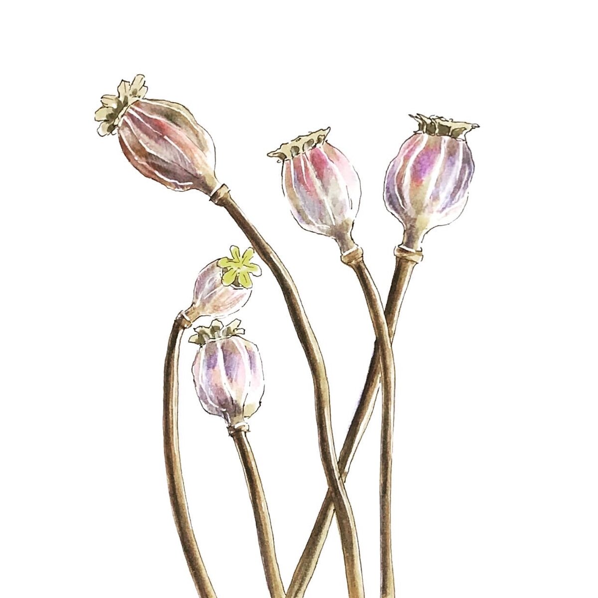 Работа автора. Спиртовые маркеры