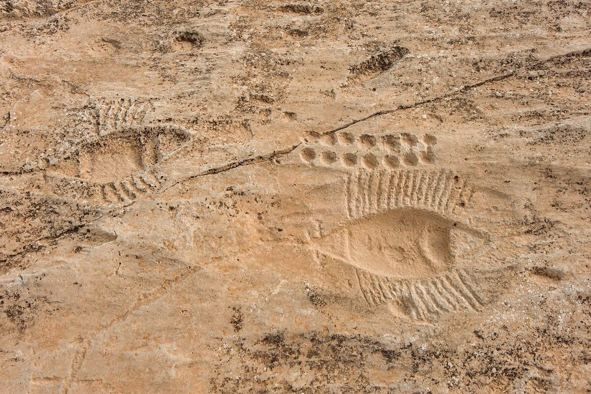 Петроглифы Катара. Источник фото: http://www.asergeev.com/pictures/k/Al_Jassasiya_Rock_carvings_Qatar.htm