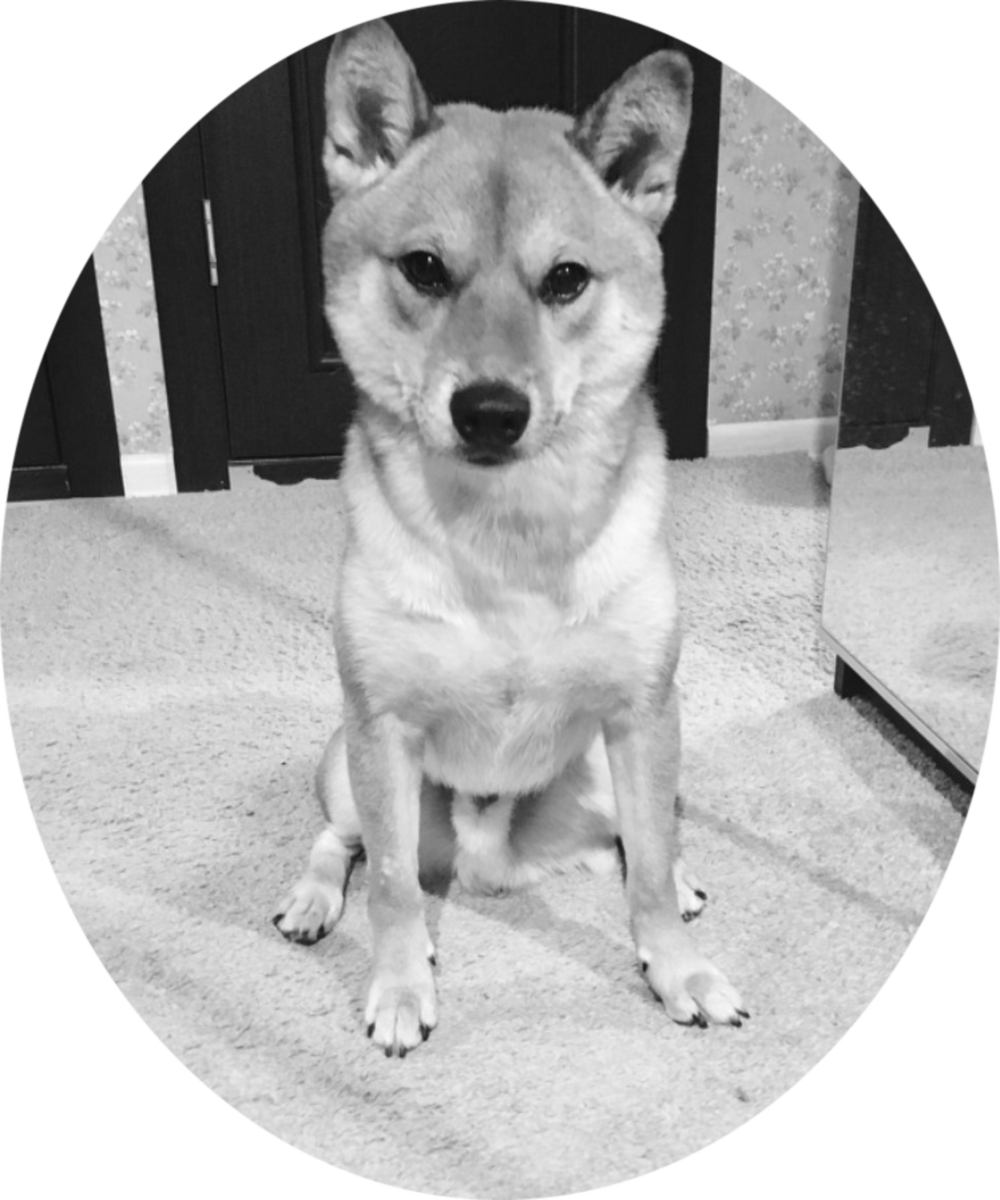 За что мне все это?-спрашивает Тимо