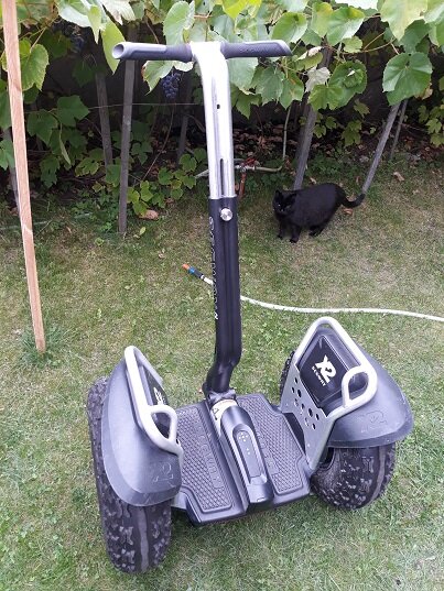 Так выглядит Segway с рулём. Это даже... кот знает! :-)