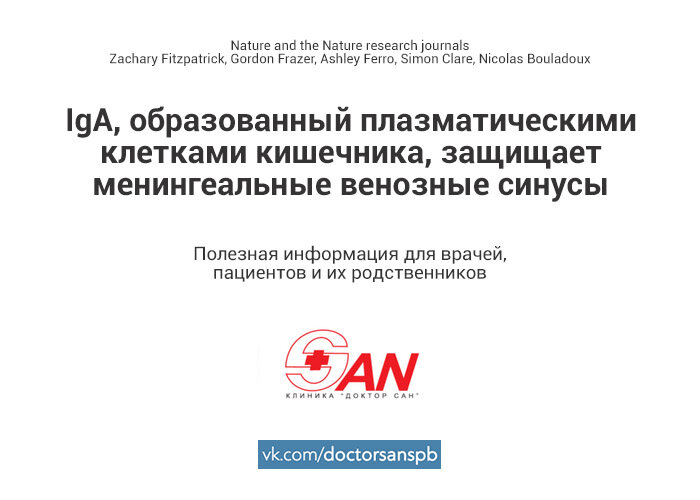 #иммунитет #здоровье #мозг #психиатрия #психиатр 