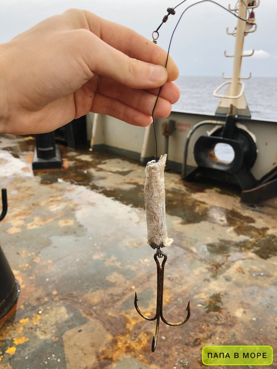 Снасть для ловли саргана