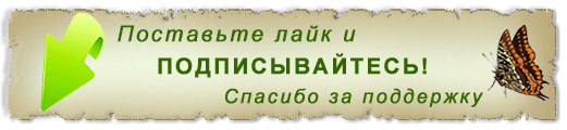 Поддержите канал и помогите ему в развитии