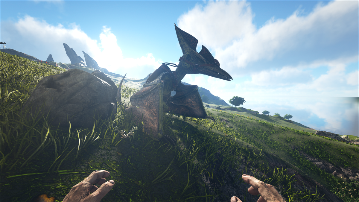 Мой первый птер на сервере