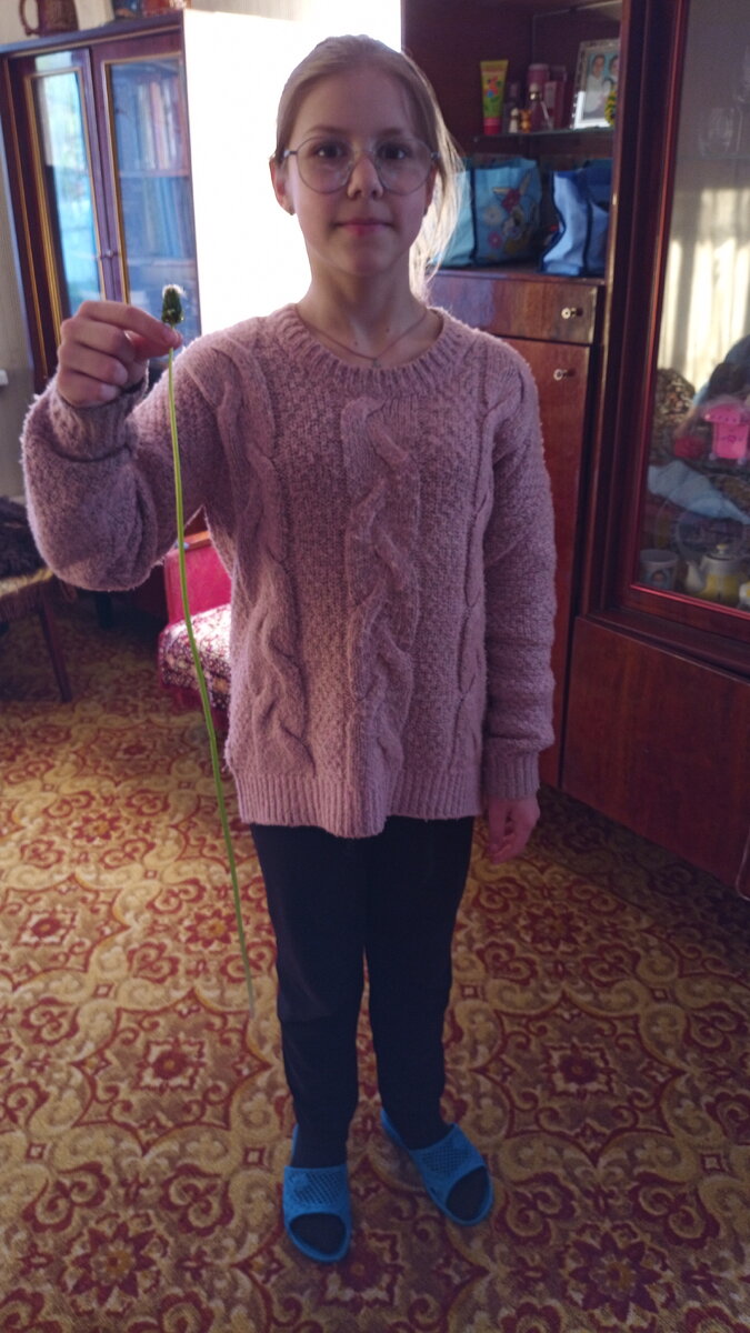 Это чтобы вы сравнили длину одуванчика с девочкой у которой рост 146