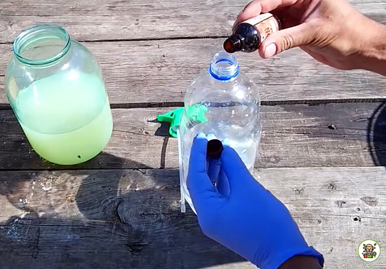 Делаем раствор из йода и сыворотки