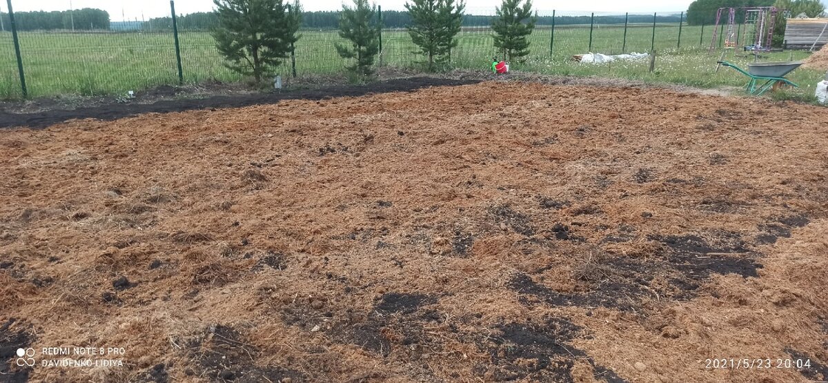 Картофельное поле