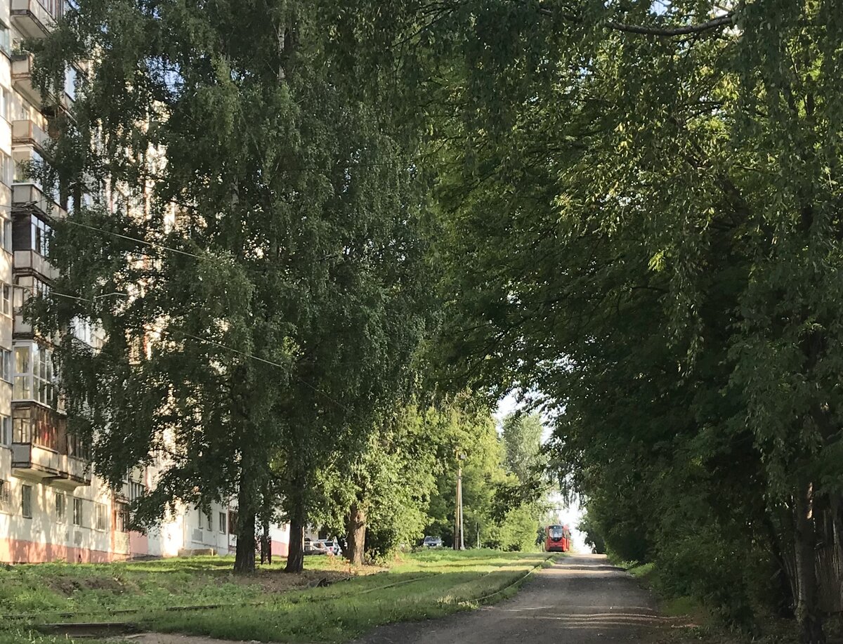 г. Ижевск, ул. Школьная. Трамвай в окружении зелени