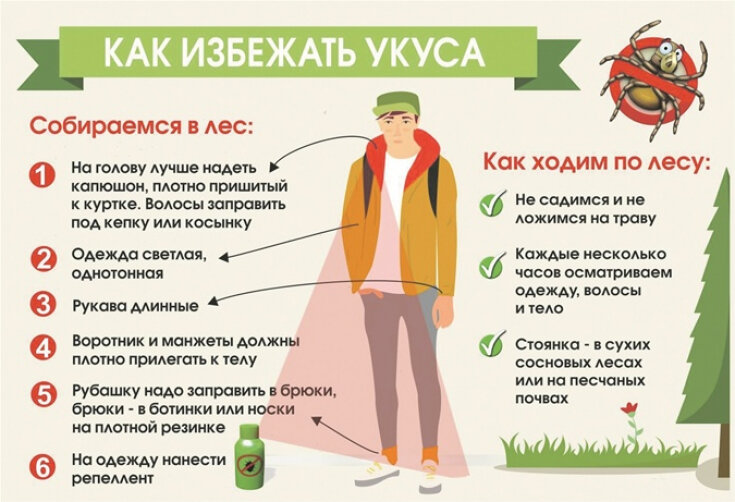 

Также заразиться данным заболеванием можно, употребляя в пищу сырое молоко коз, овец, коров, которых укусили клещи еще весной. Поэтому следует употреблять молоко только после кипячения.