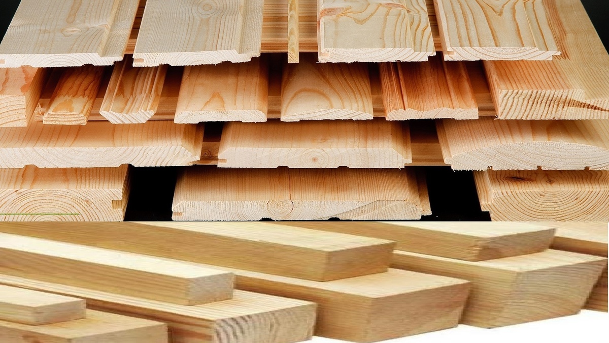фото из открытого источника