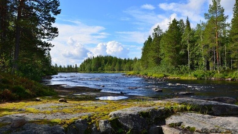 Фото: pixabay.com