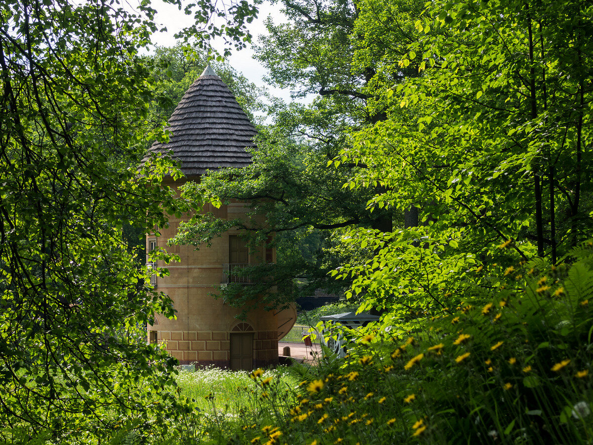 Пиль-башня сквозь ветви деревьев