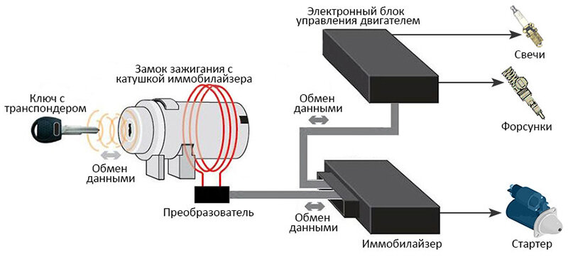 Схема работы устройства