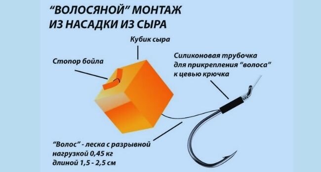  волосяной монтаж с сыром